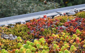 the cost of Quemerford green roof installation