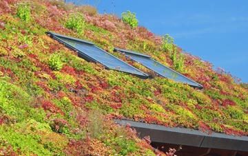 Quemerford living roof systems