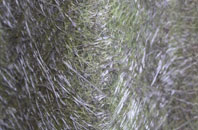 Quemerford fibreglass roof work